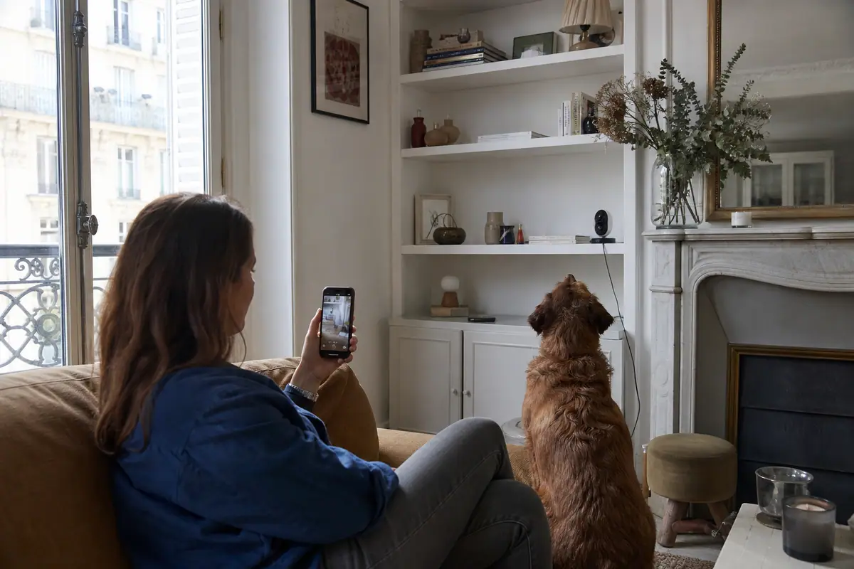 Une femme consulte sur son smartphone la vidéo en direct d'une caméra qui surveille son chien dans le salon
