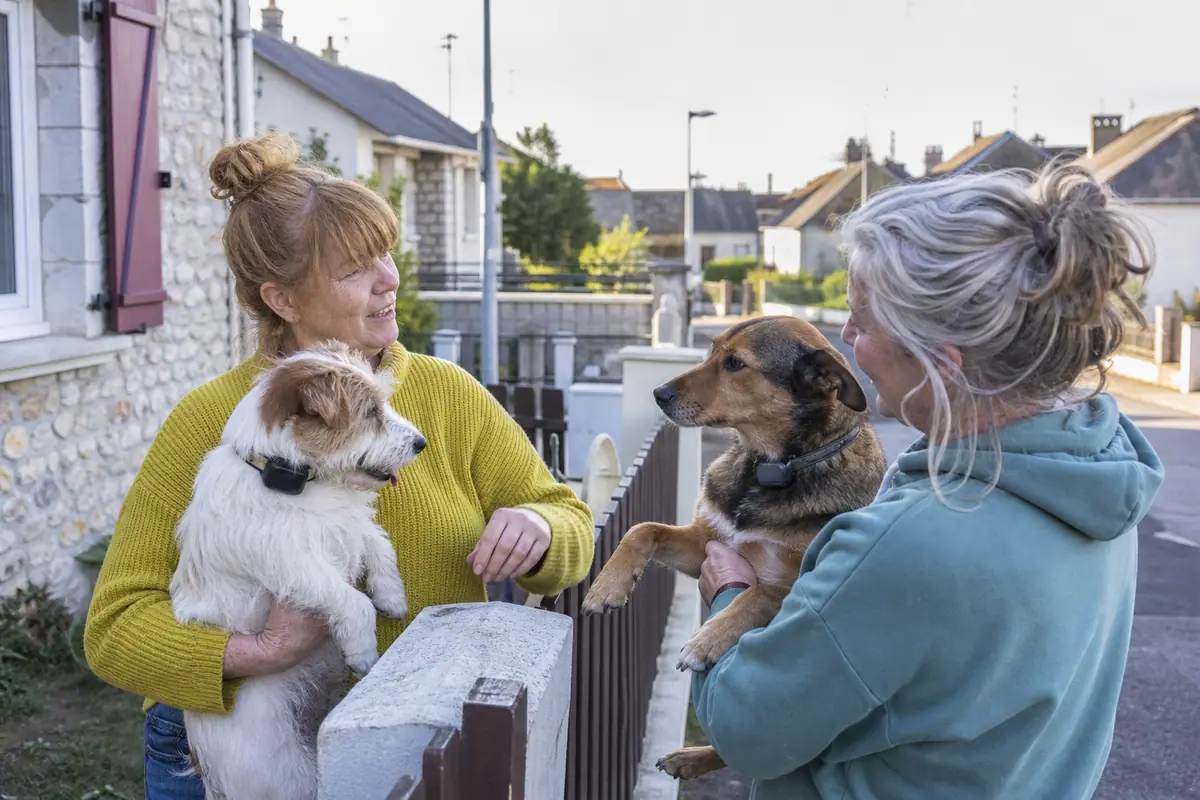 Deux voisins discutent dans la rue avec leurs chiens équipés chacun d'un collier GPS