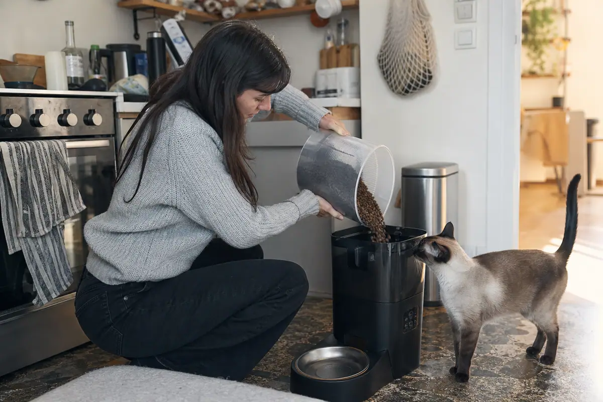 Une femme remplit le réservoir d'un distributeur de croquettes automatique pendant qu'un chat curieux observe