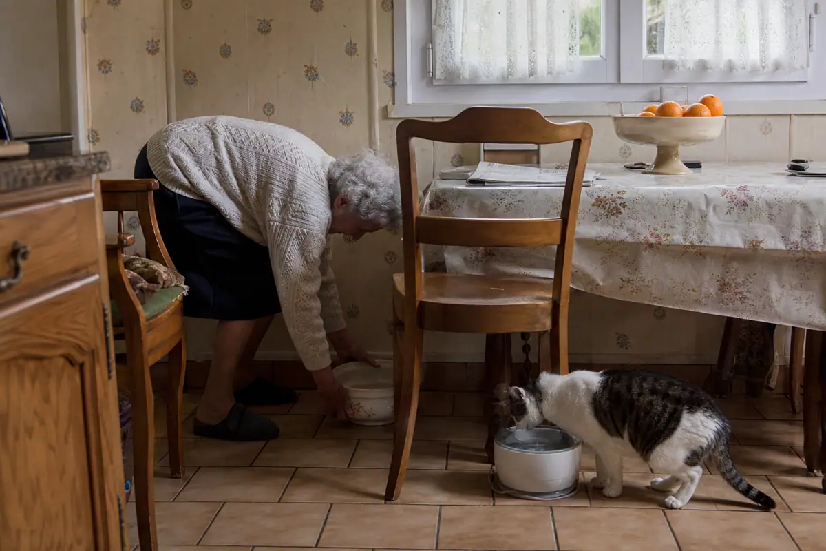 Une femme âgée remplit la gamelle d'eau de son vieux chat qui boit à une fontaine dans une cuisine de campagne