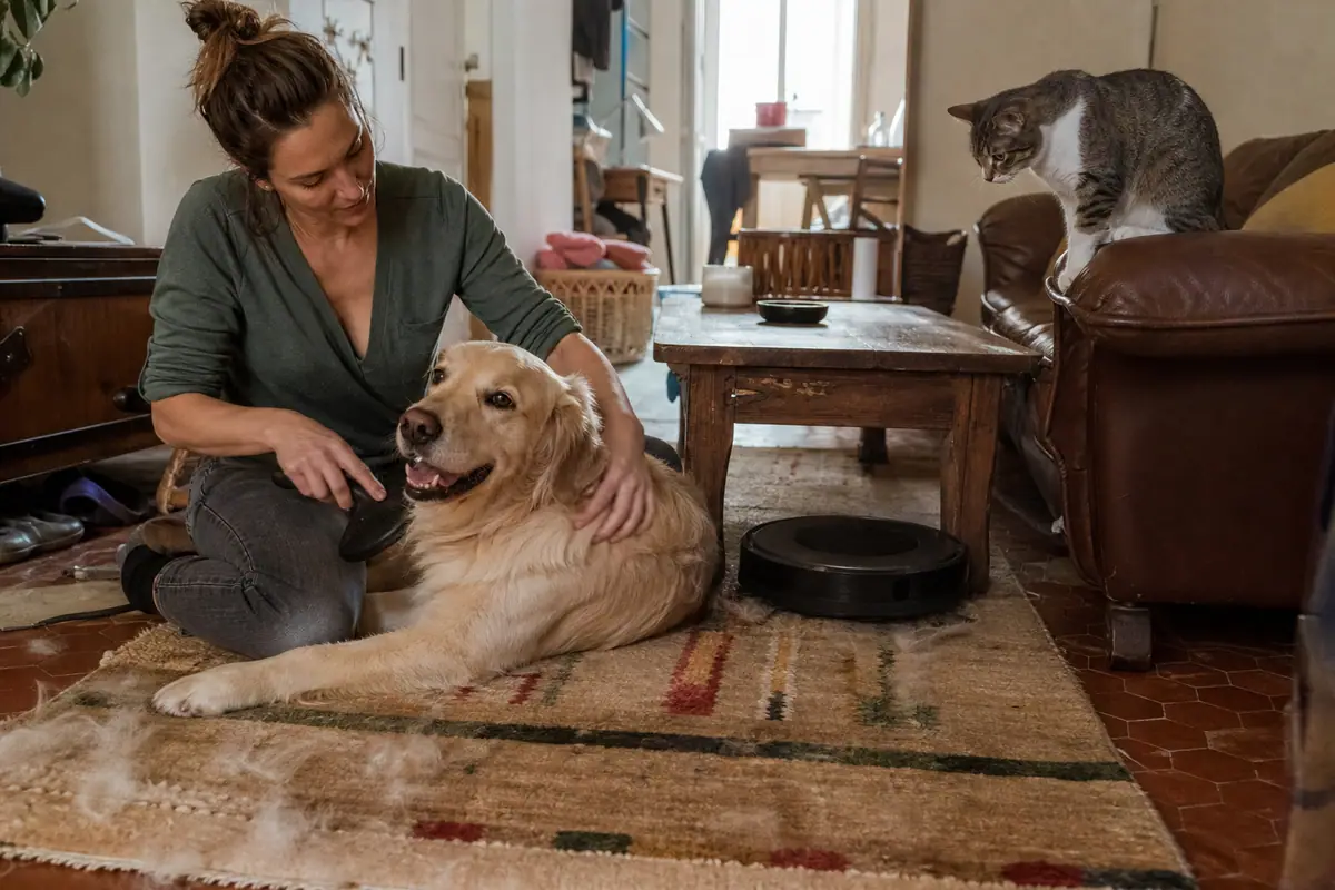 Une femme brosse son chien sur le tapis du salon pendant qu'un aspirateur robot nettoie sous la table basse